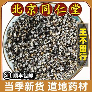 北京同仁堂正品王不留行中药材炒王不留行籽生王不留行子可搭通草