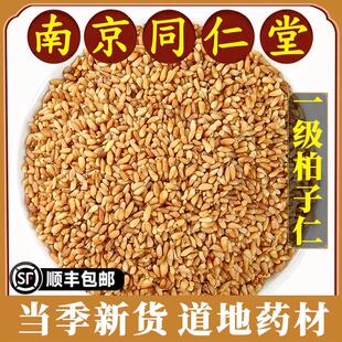 南京同仁堂正品柏子仁中药材野生新货去壳炒柏子仁干柏子仁粉无硫