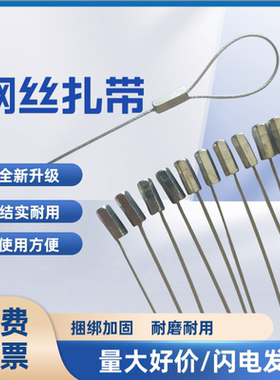 金属钢丝扎带钢丝封一次性钢丝锁一次性封签钢丝封条铅封
