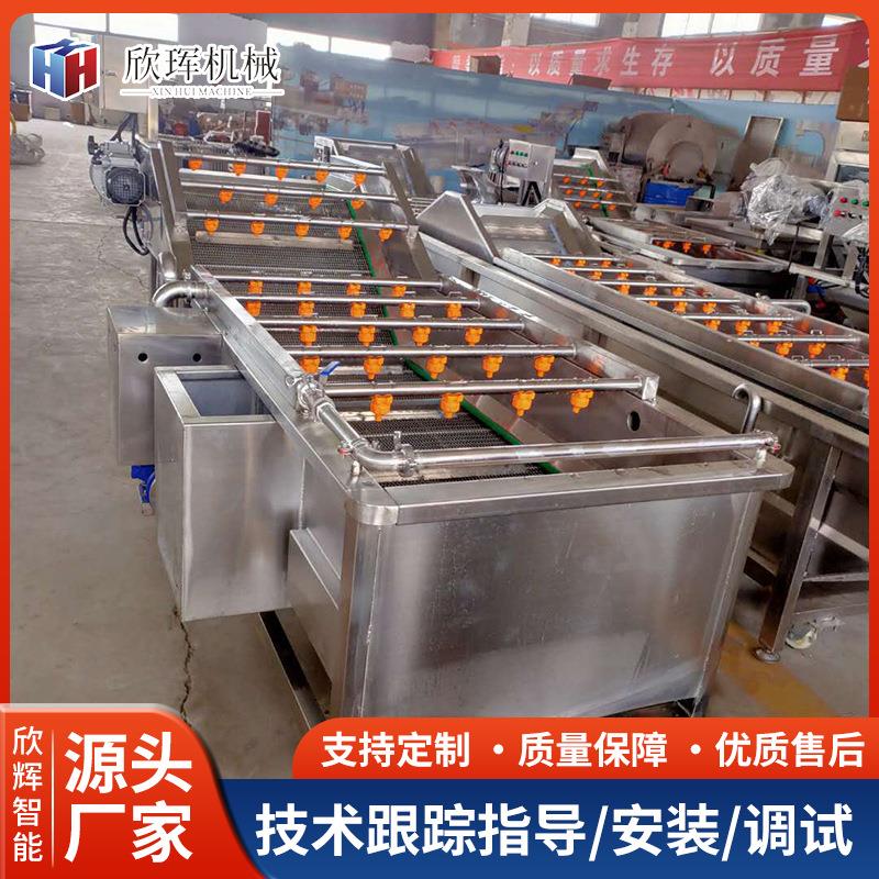 新款樱桃萝卜清洗设备带提升菠菜清洗机板栗南瓜气泡清洗设备