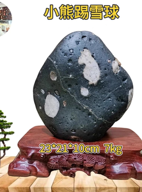小顽熊踢雪球伊河荷花石种天然水冲画面原石奇石办公居家观赏摆件