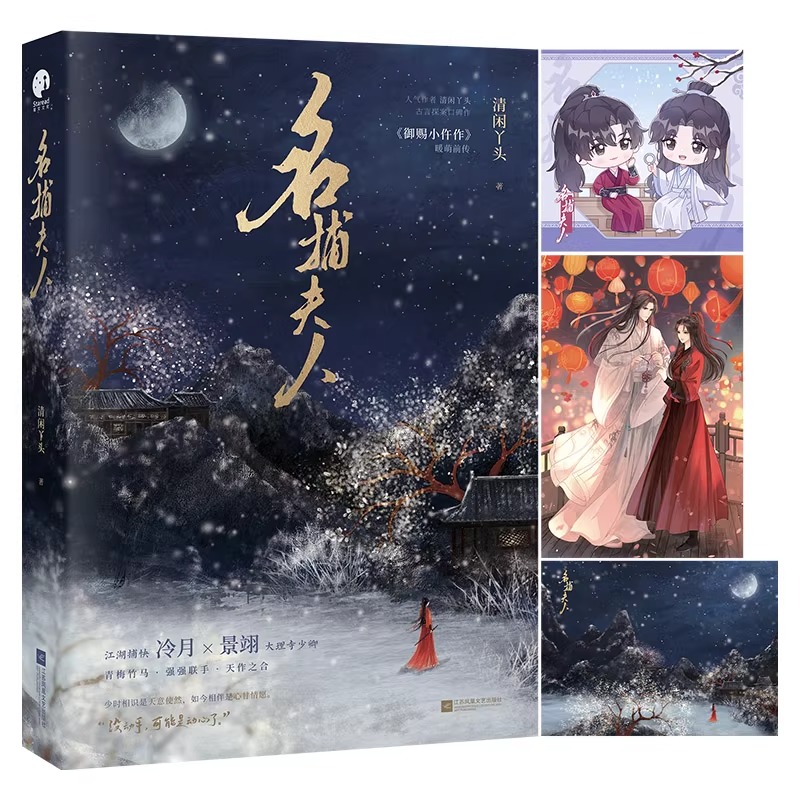 名捕夫人 清闲丫头著 古言探案青梅竹马 御赐小仵作2原著小说