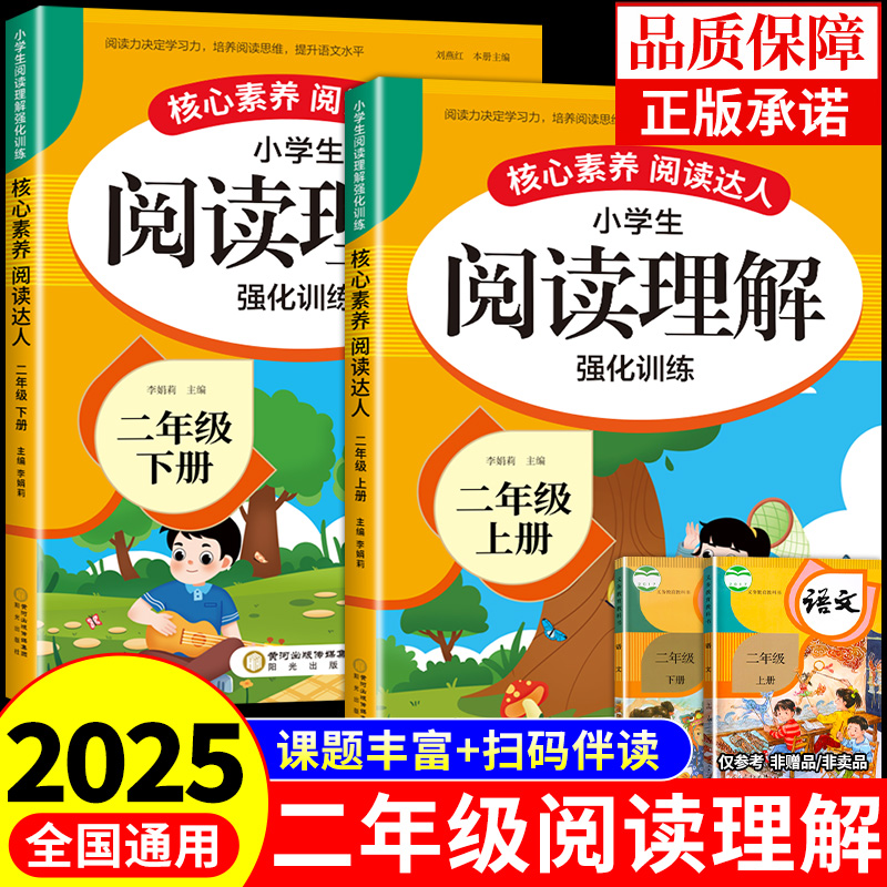 二年级阅读理解专项训练书