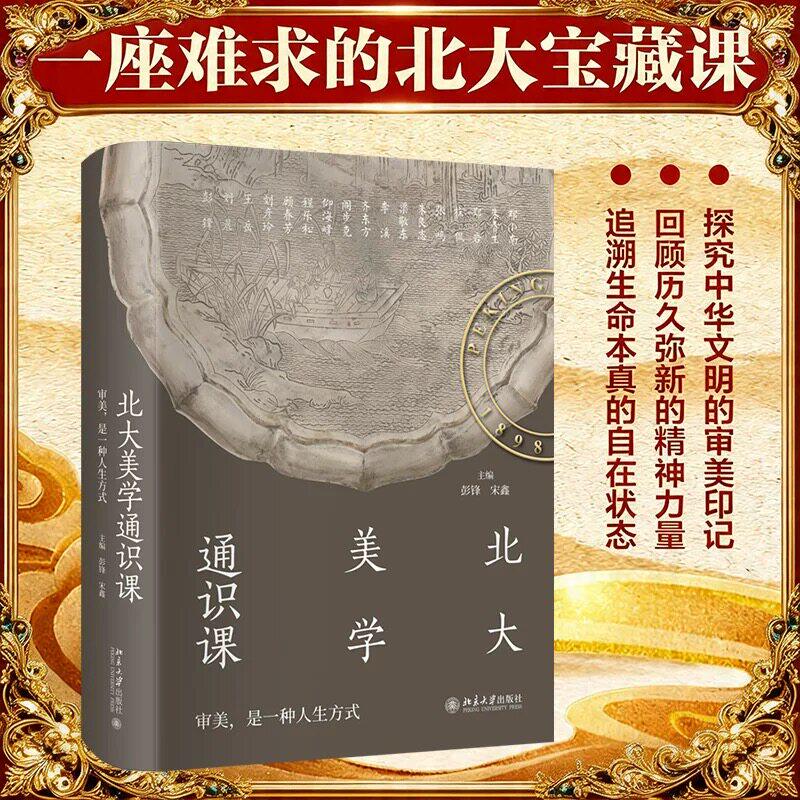 北大美学通识课 彭锋 中国诗词歌绘画艺术敦煌石窟建筑文物国宝设计工艺美术鉴赏美学启蒙素养提升书 北京大学出版社