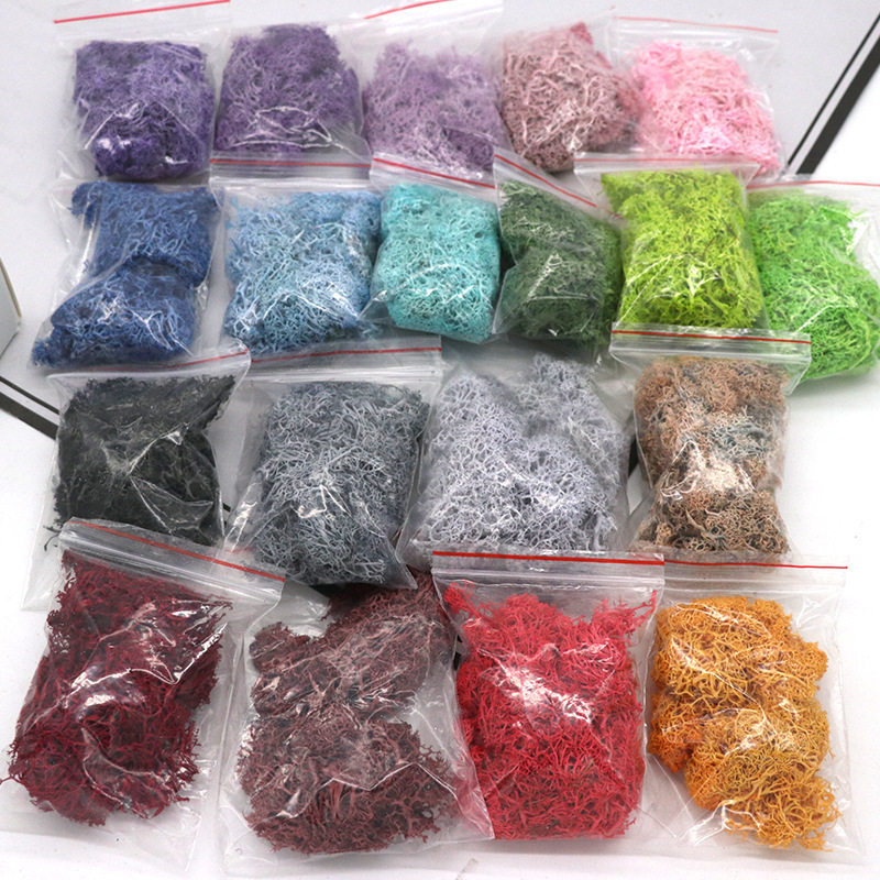 永生苔藓10g袋装手工花材植物造景墙苔藓团扇相框干花材料包,家居饰品,其他贴饰,淘宝优惠券,粉丝福利购,淘宝优惠卷