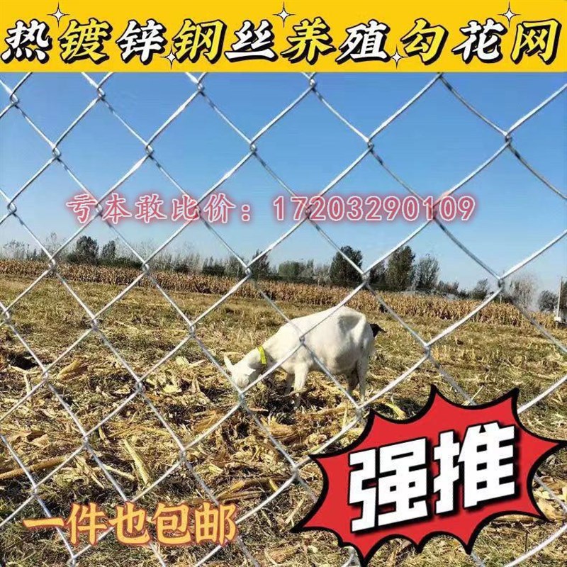 镀锌铁丝b网勾花网钢丝网养殖羊牛猪栏网果园围栏栅栏网鱼塘围网