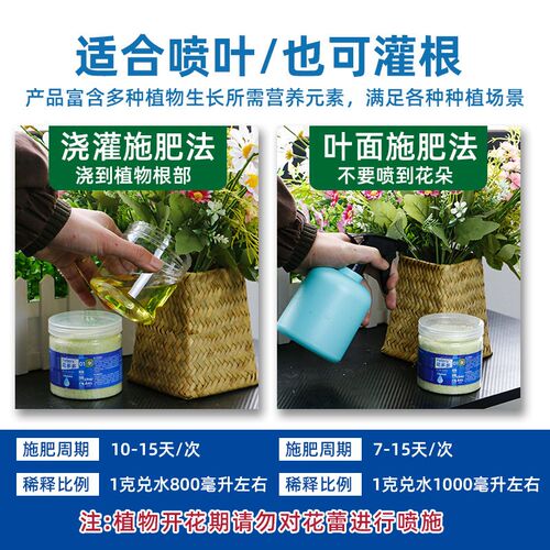 花多多1号2号进口硫酸亚铁开花肥料三角梅月季绣球V通用高钾水溶
