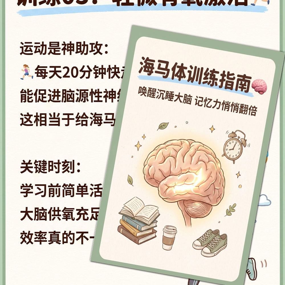 海马体训练指南】24张提高记忆力高效学习大脑潜能开发防水贴纸