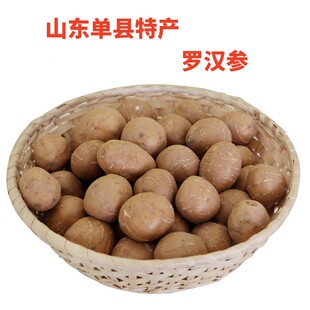 【不可生食】山东单县特产罗汉参新果香芋香栗3斤装散称新鲜