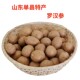山东单县特产罗汉参新果香芋香栗3斤装 不可生食 散称新鲜