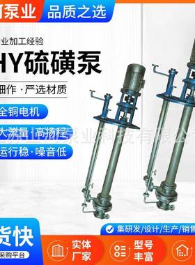 LHY系列保温硫磺泵厂家定/制立式耐酸碱无堵塞液硫泵泡沫泵