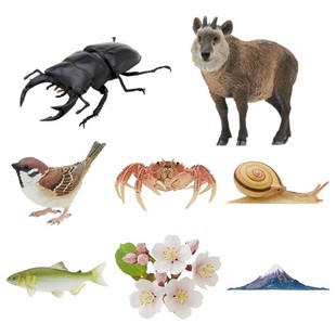 生物 扭蛋 日本自然界 樱花麻雀 迷你模型 预售 IKIMON日本