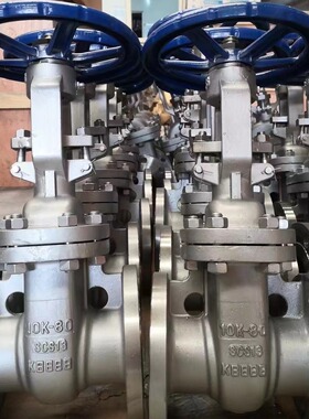 Z41W-10K不锈钢日标法兰闸阀 日标不锈钢闸阀 SS304法兰闸阀