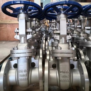 Z41W-10K不锈钢日标法兰闸阀 日标不锈钢闸阀 SS304法兰闸阀