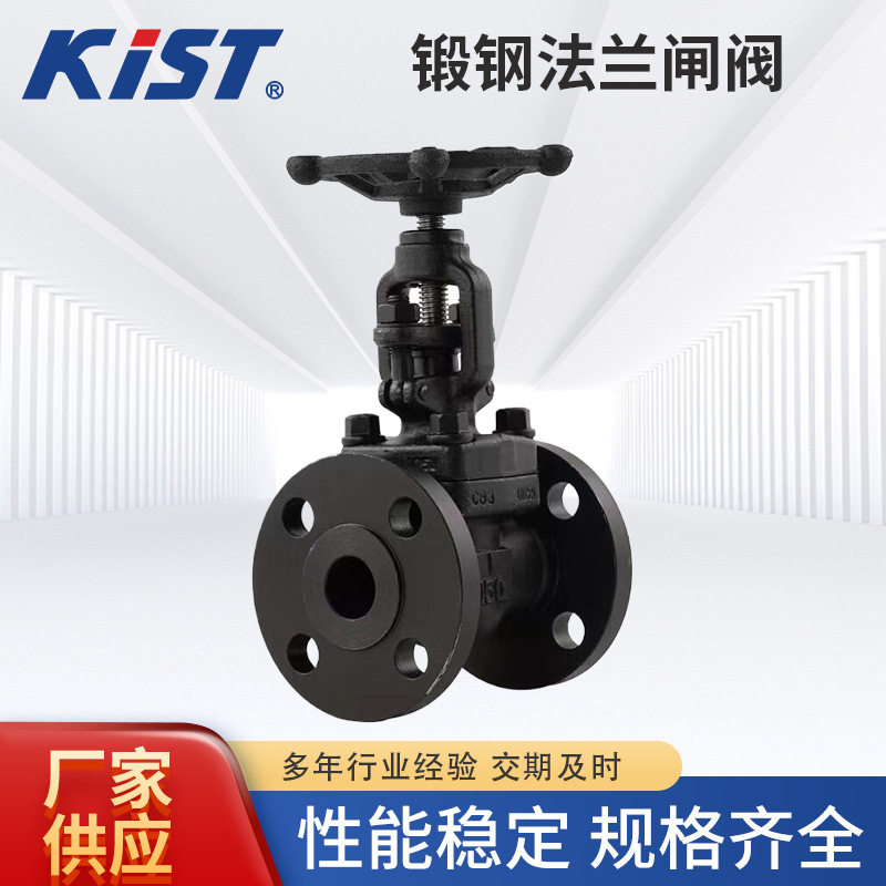 锻钢法兰闸阀耐高温高压导热油A105材质Z41H-25C锻钢法兰闸阀
