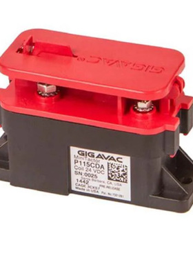 GIGAVAC继电器P195BDA