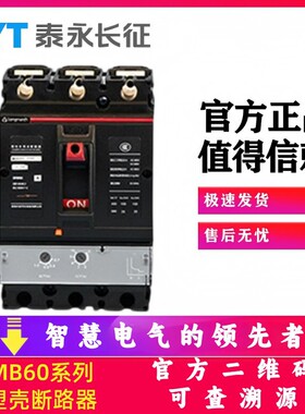 TYT泰永长征MB60S-630/400/250/160/100塑壳断路器3300原装3P32A