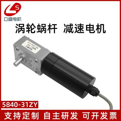 立盛5840-31ZY防水微型直流减速电机钢齿轮调速慢速马达12V24V