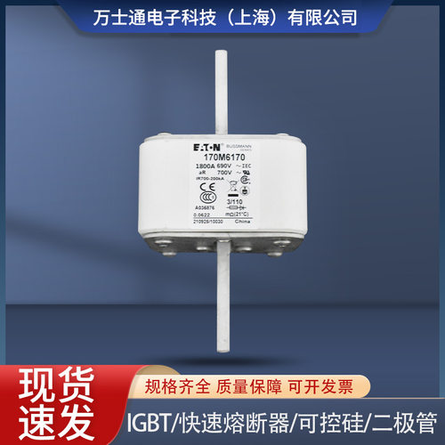 170M6188/6189/6190/6191/6192/6193/6194/6195全新熔断器现货