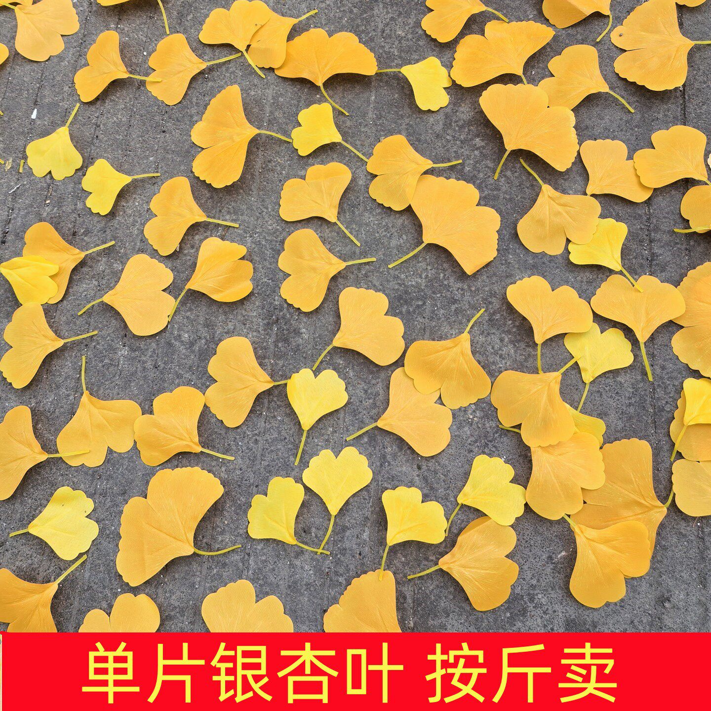 按斤卖仿真银杏叶片单片叶秋天黄色假树叶婚庆婚礼装饰拍摄场地橱