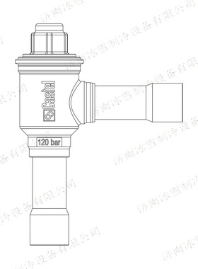 Castel卡士妥止回阀3187EW/7,直角式止回阀,ODS铜制加强接头(k65)