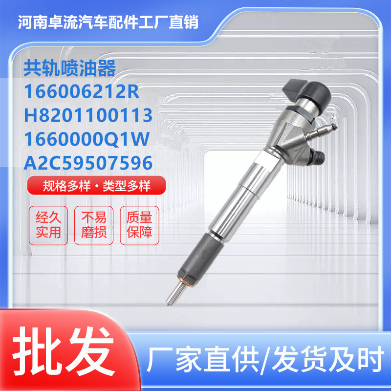 A2C59507596喷油器166006212R H8201100113 1660000Q1W总成