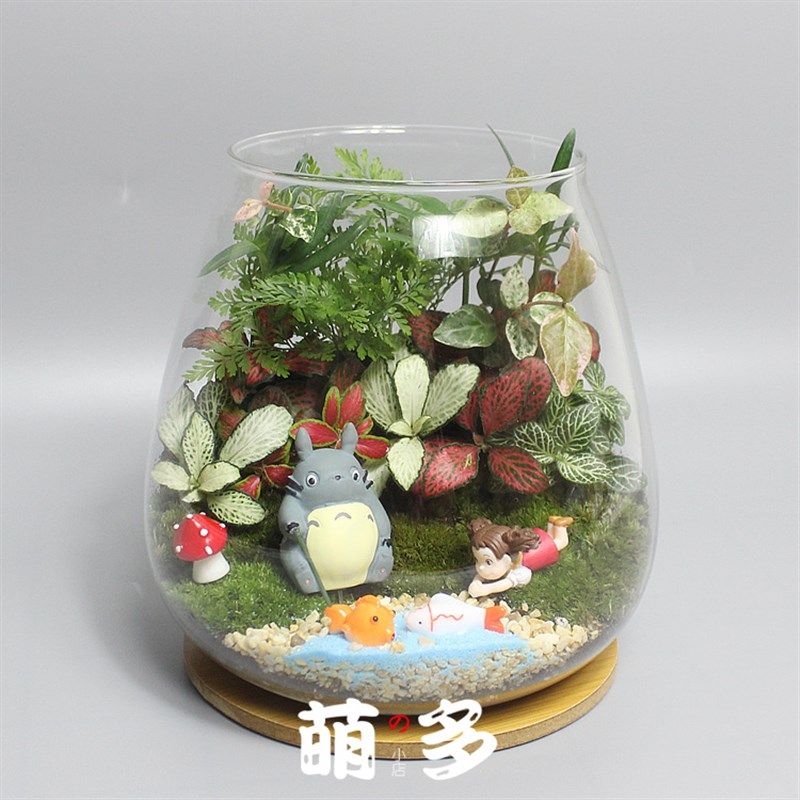 带灯苔藓生态瓶微景观disy套装 创意手工盆景绿植亲子活动材料包,鲜花速递/花卉仿真/绿植园艺,苔藓微景观,淘宝优惠券,粉丝福利购,淘宝优惠卷