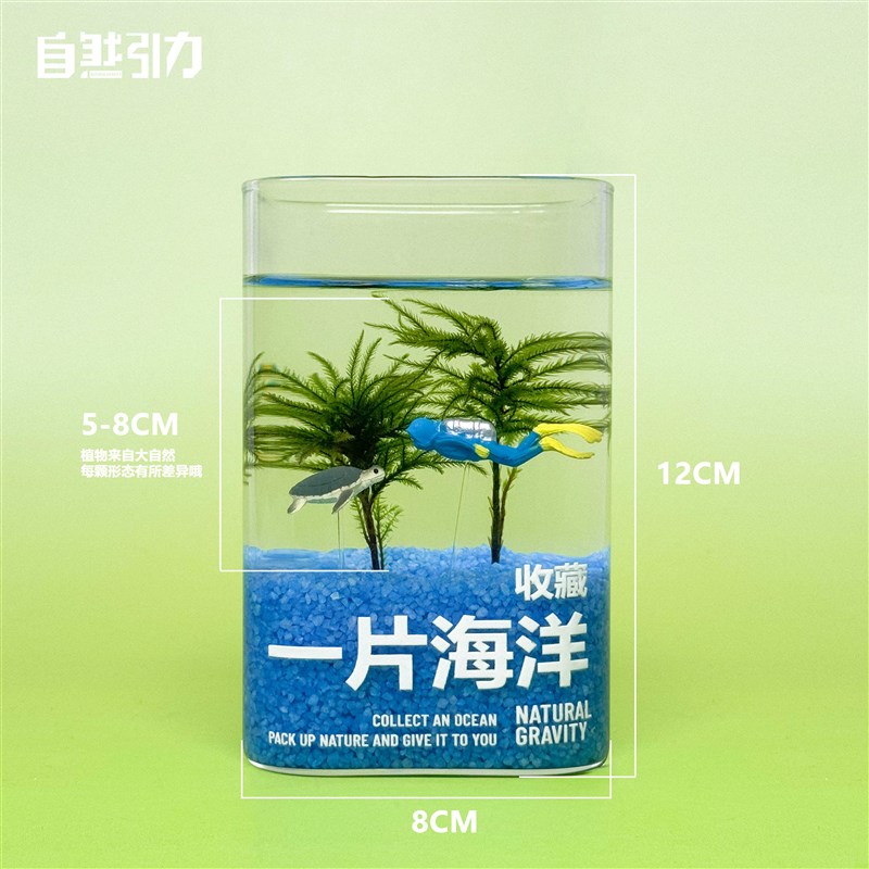 自然引力 一片海洋 棕榈莫斯微景观水培桌面绿Q植创意养鱼送人礼