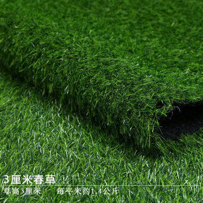 22水果店仿真草坪超市展示冷柜果蔬铺垫商用货p架假草皮地毯防滑,鲜花速递/花卉仿真/绿植园艺,仿真绿植,淘宝优惠券,粉丝福利购,淘宝优惠卷