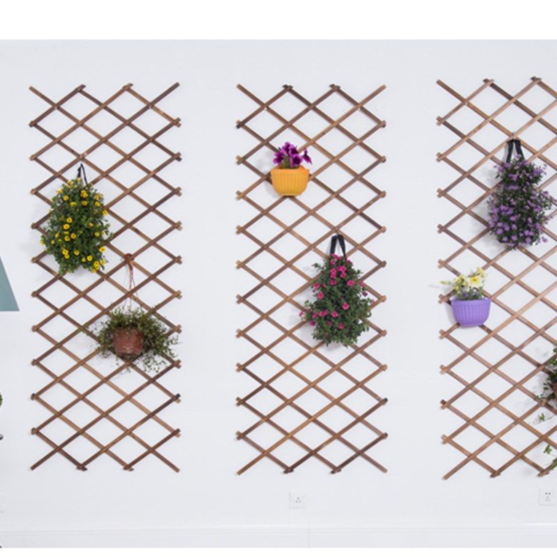 木围栏栅栏绿植篱笆网q格防腐碳化木伸缩爬藤圣诞婚庆拉网装饰隔,鲜花速递/花卉仿真/绿植园艺,栅栏,淘宝优惠券,粉丝福利购,淘宝优惠卷