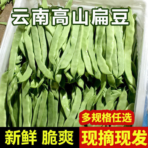 云南现摘扁豆芸豆油豆角新鲜蔬菜