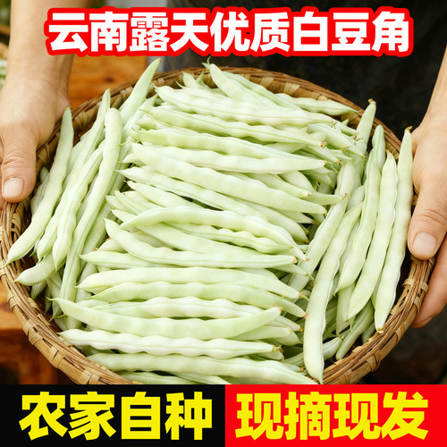 新鲜豆角白不老白豆角当季蔬菜