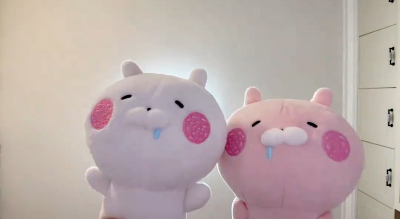 粉白可爱公仔卡通毛绒玩具新款2026儿童安抚抱枕可爱趣味娃娃