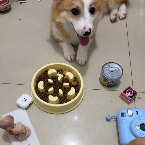 黄色宠物用具新款2026防滑垫猫狗碗防滑底座圆形食碗防滑垫