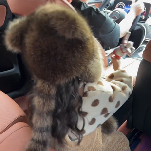 冬季儿童小浣熊尾巴护耳帽雷锋帽男孩子防寒可爱帽子毛绒茸仿貂毛