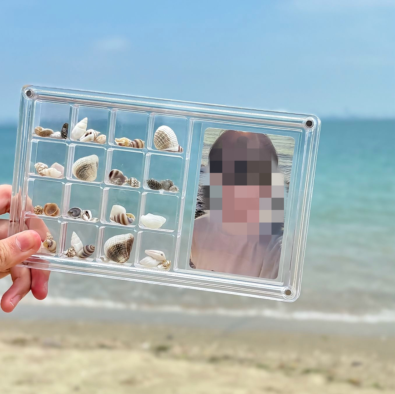 创意亚克力透明贝壳收纳盒海边石头标本收藏磁吸大号展示盒带相框