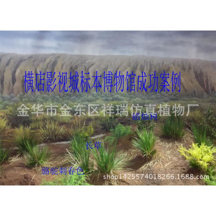 绿植假001树叶芒草材叶色秋仿真带程花草景观博物馆工用厂家