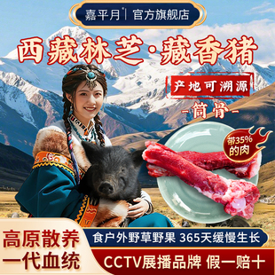 藏香猪肉新鲜筒子骨冷冻猪棒骨正宗西藏林芝大骨熬汤农家散养黑猪