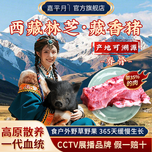 藏香猪脊骨龙骨新鲜猪脊骨炖汤酱骨头正宗西藏林芝土猪黑猪骨头肉