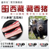 藏香猪肉五花肉新鲜带皮猪黑猪肉正宗西藏林芝农家散养土猪肉红烧