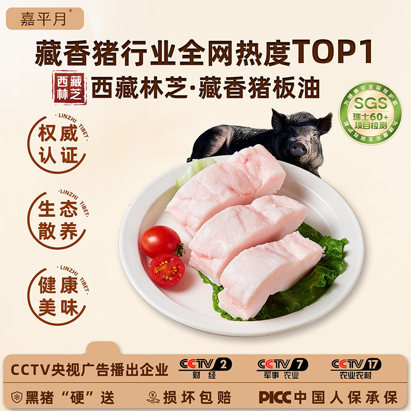 正宗藏香猪100%猪板油西藏林芝图片