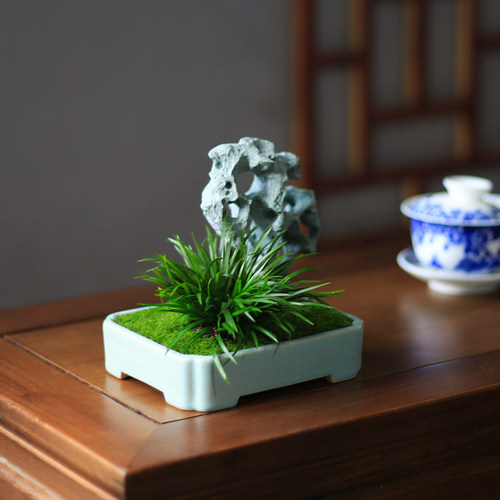 菖蒲微型小d盆栽植物室内办公室桌面茶室四季常青创意绿植假山盆