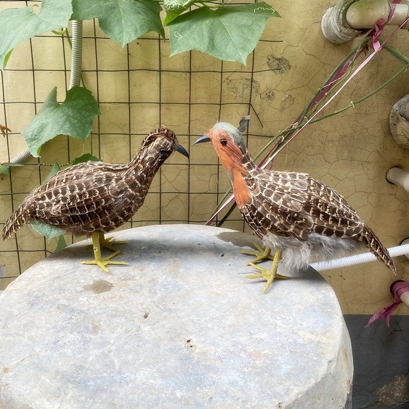 仿真竹鸡户外装饰摆件橱s窗美陈造景布局道具教学演示外拍摄影,家居饰品,户外/庭院摆件,淘宝优惠券,粉丝福利购,淘宝优惠卷