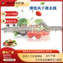 叶茎类蔬菜气泡清洗机预制菜高压喷淋清洗漂烫冷却风干流水线