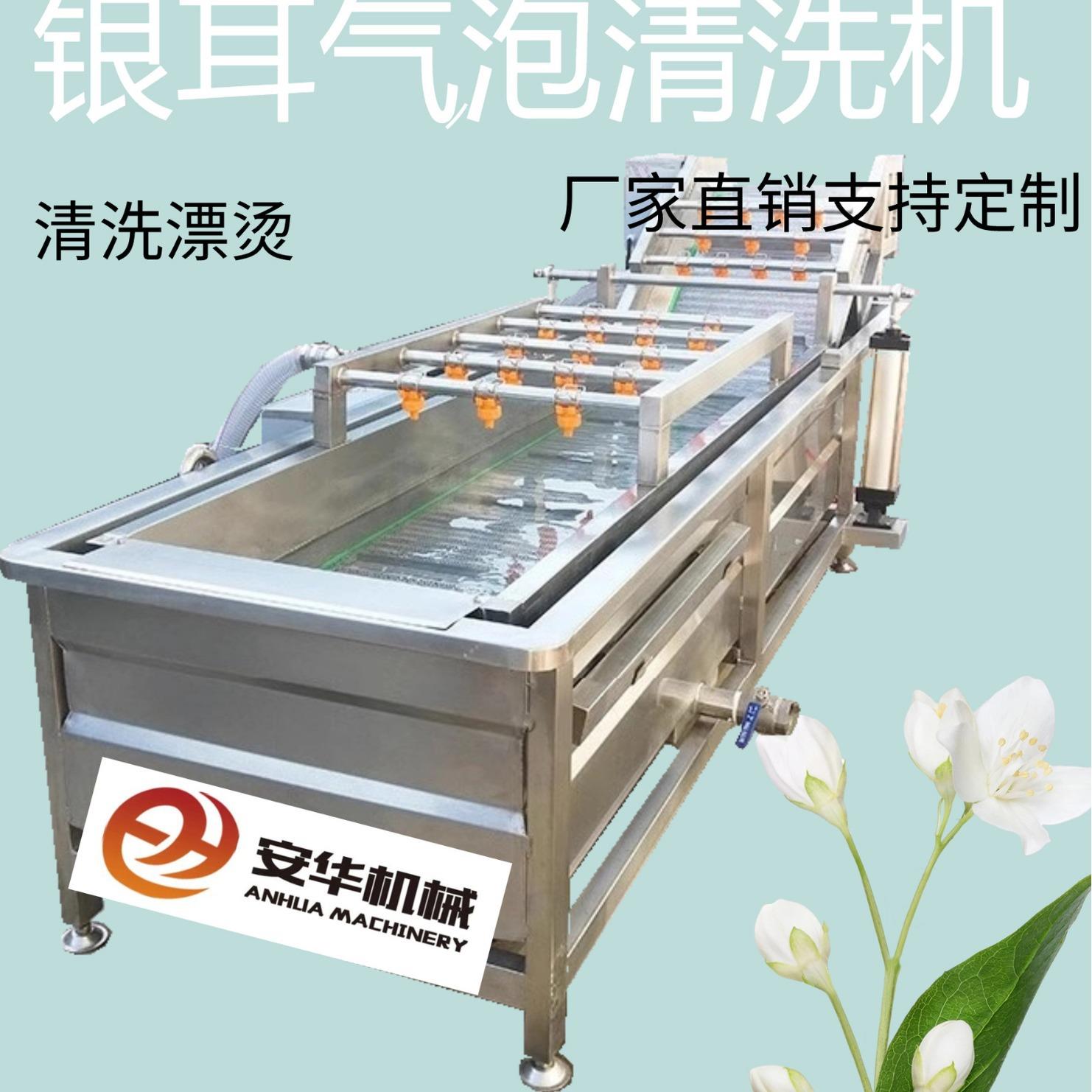 全自动商用天麻丹参清洗机高压喷淋式辣椒清洗秋葵银气泡清洗机