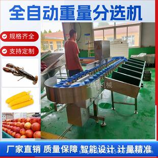 商用全自动小龙虾分级机全自动猪蹄鸡爪重量分选苹果鱼类分级设备