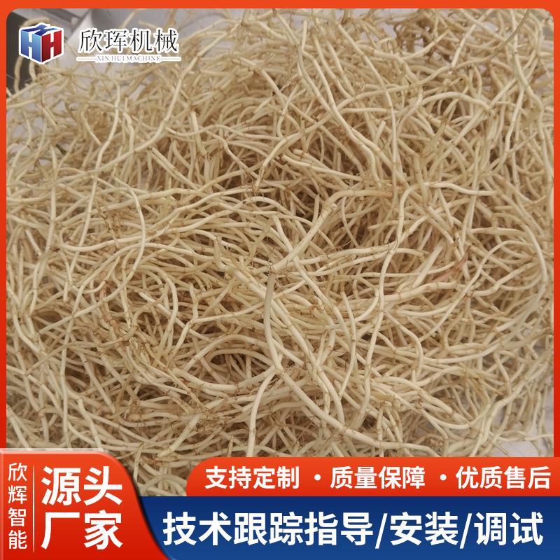 全自动扇贝柱深加工设备海参鲍鱼气泡清洗机气泡冲浪蔬菜清洗机