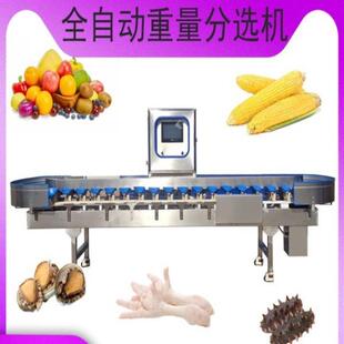 海参龙虾自动称重分选机牡蛎鲍鱼重量分选机苹果梨子大小分拣机