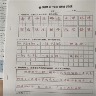 新款小学生123456年级上下册卷面提分练字帖脱格章法训练