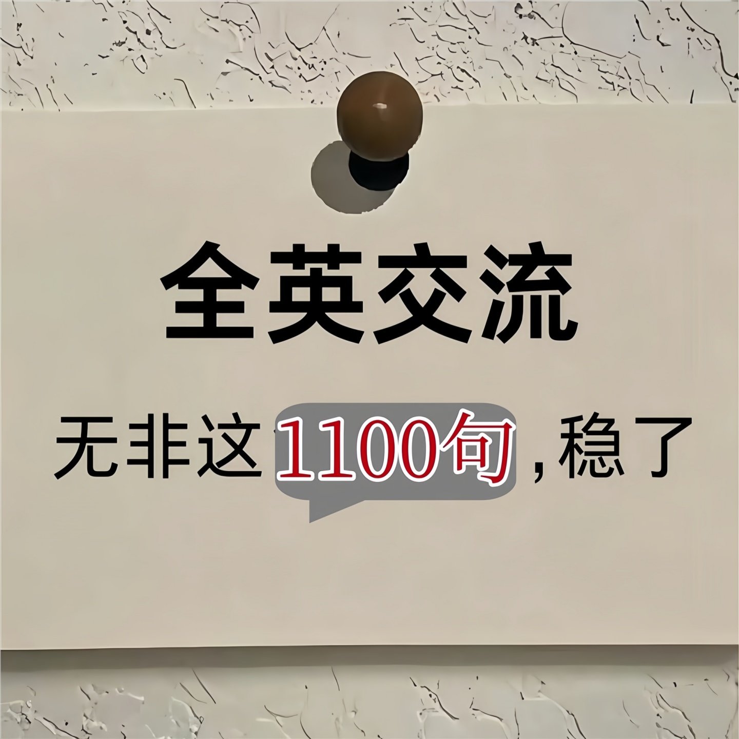 与老外全英日常交流沟通必背日常口语1100句 实现全英日常交流